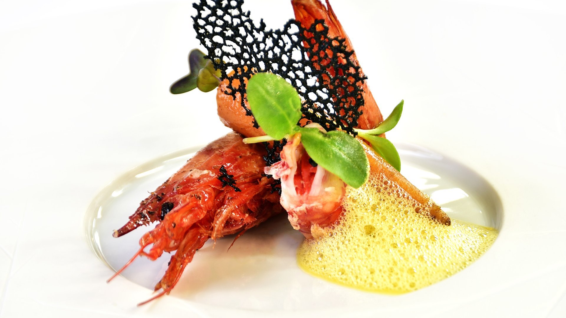 Menu gourmand, accord mets & vins